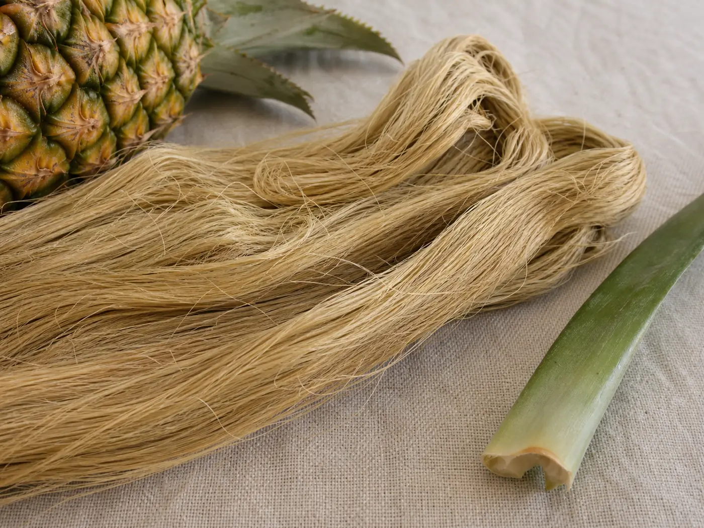 Stripped golden pineapple-leaf fibres beside a whole pineapple — the agricultural by-product behind pineapple fibre leather